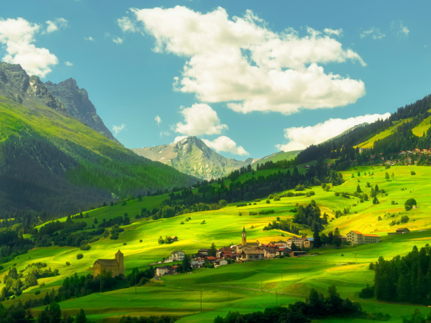 {{brizy_dc_image_alt entityId=