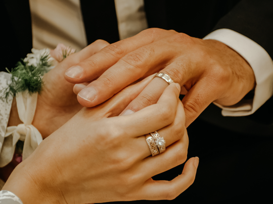 {{brizy_dc_image_alt entityId=